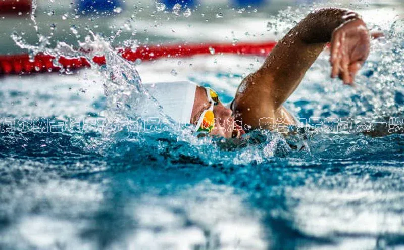 NG体育·南宫官方网站百度数据开放平台阿尔纳吉埃足球运动员：职业生涯、荣誉和最新动态一览