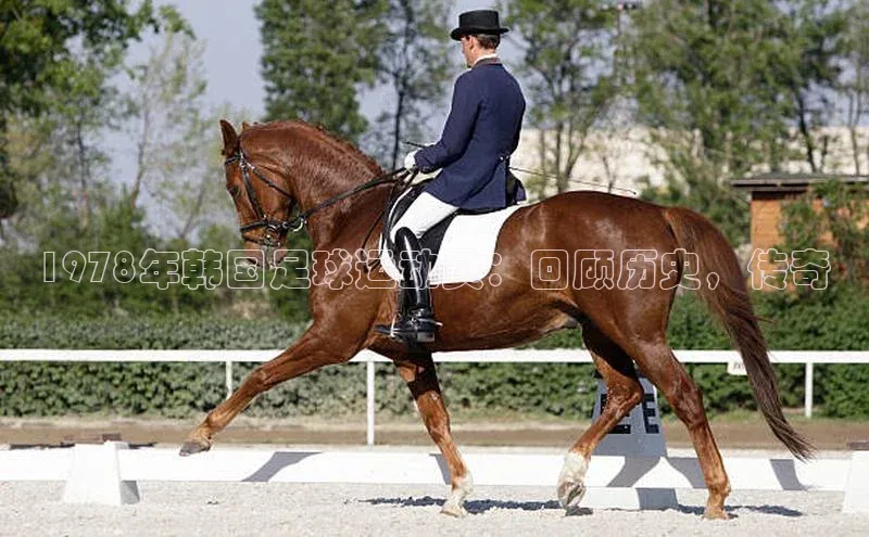 南宫28娱乐官网京东1978年韩国足球运动员：回顾历史，传奇