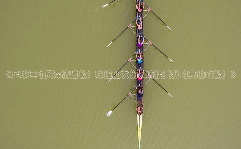 ng28官网入口注册百度识图《足球运动员深情道歉：球迷朋友们，请接受我的真诚致歉！》