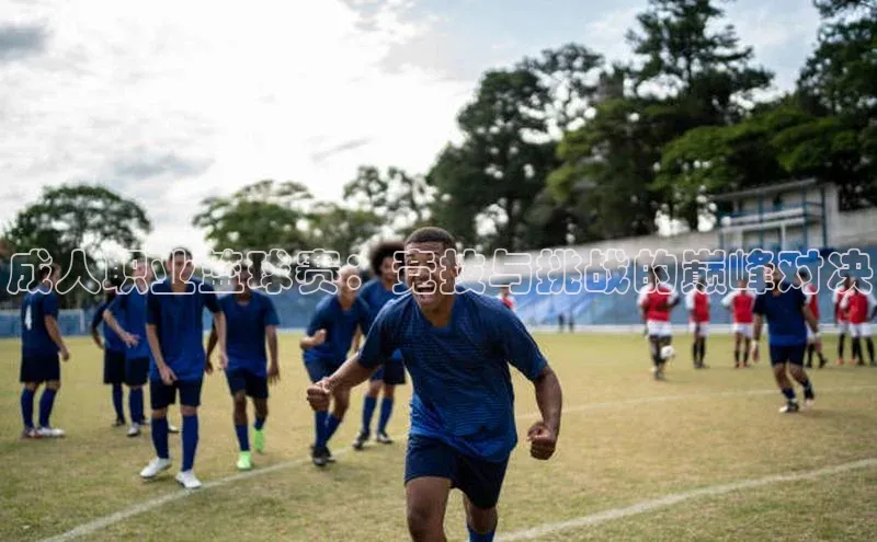 成人职业篮球赛：竞技与挑战的巅峰对决