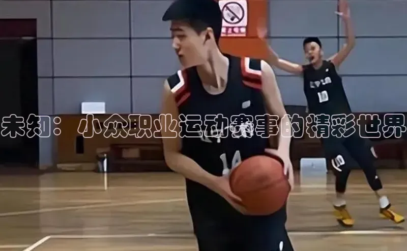 未知：小众职业运动赛事的精彩世界