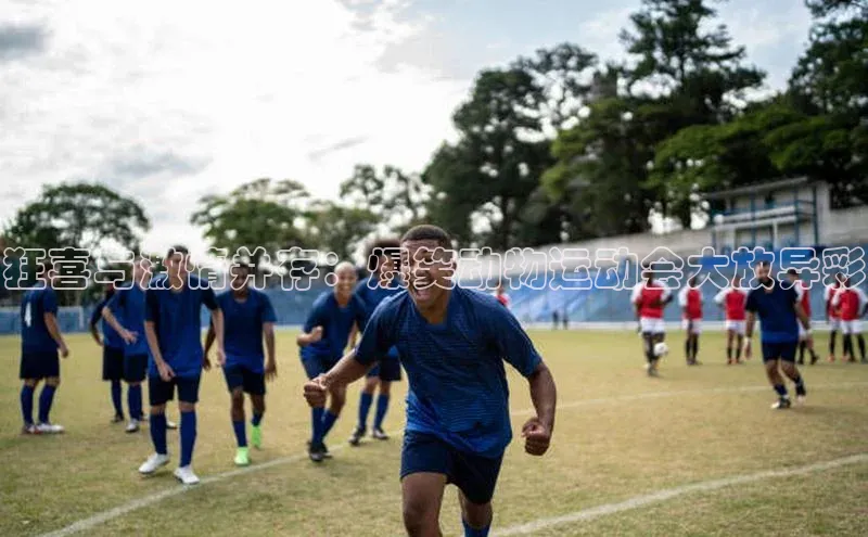 狂喜与激情并存：爆笑动物运动会大放异彩