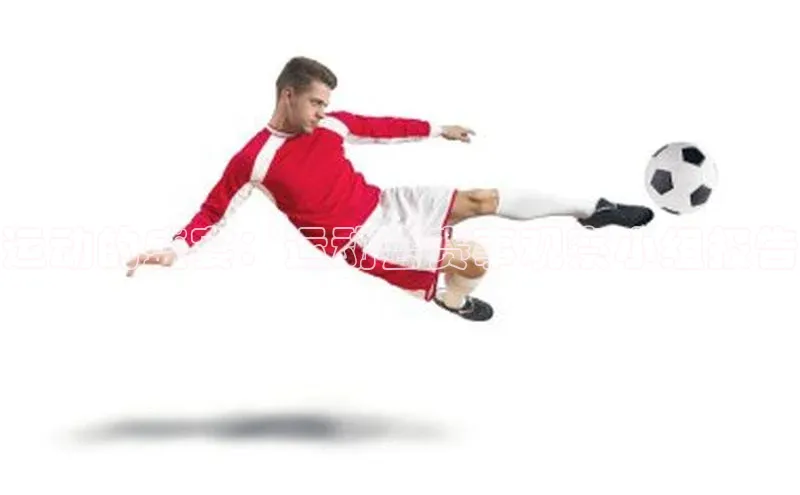 运动的盛宴：运动会赛事观察小组报告