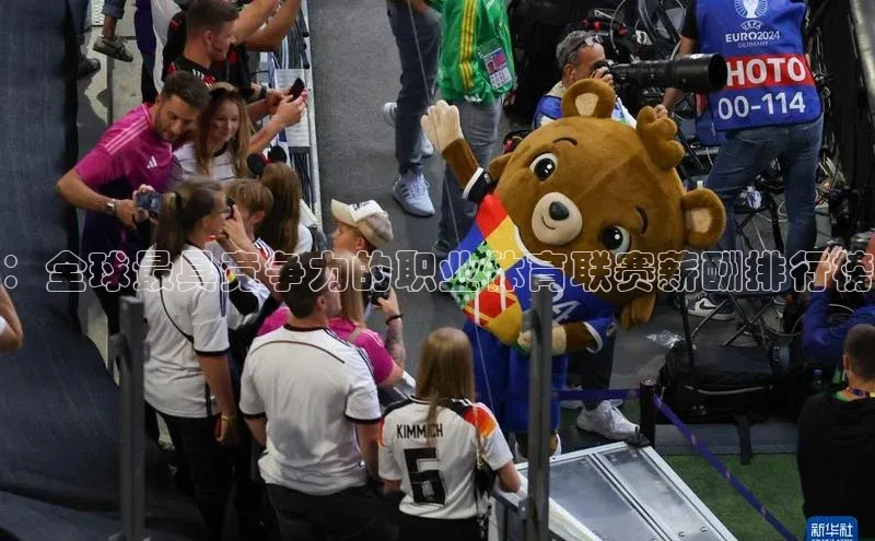 ：全球最具竞争力的职业体育联赛薪酬排行榜