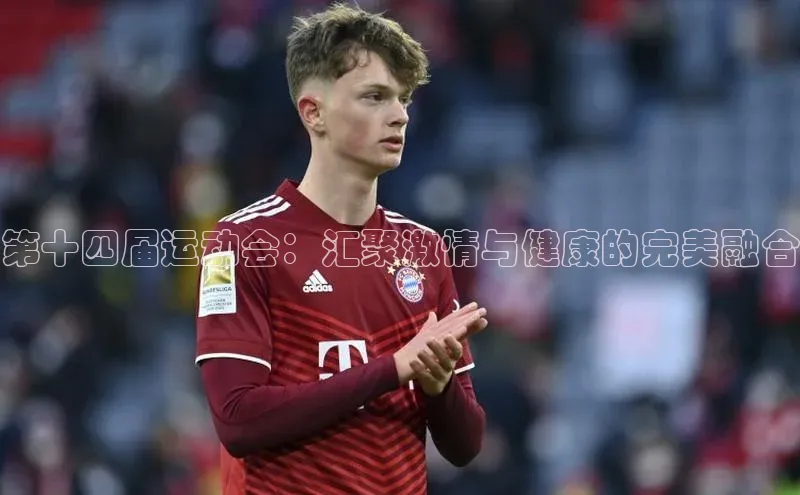 第十四届运动会：汇聚激情与健康的完美融合