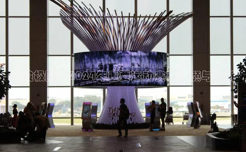 突破极限：2024年重要运动赛事回顾与分析