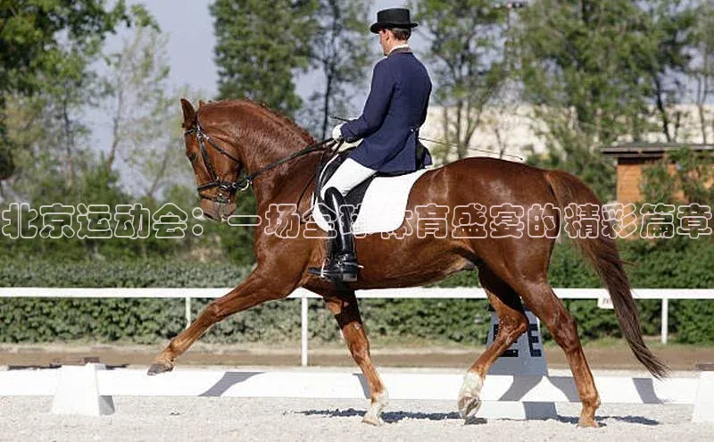 北京运动会：一场全球体育盛宴的精彩篇章