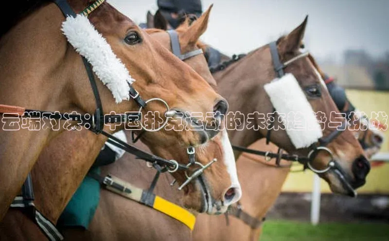 云端对决：中国扑克运动的未来趋势与挑战