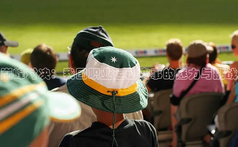 巅峰对决：我国职业运动赛事的魅力与挑战