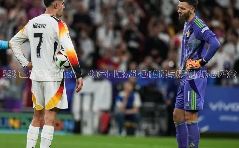 赛场上青春的绽放：一场全面展示运动技能与精神风貌的盛会