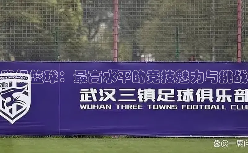 赛级篮球：最高水平的竞技魅力与挑战