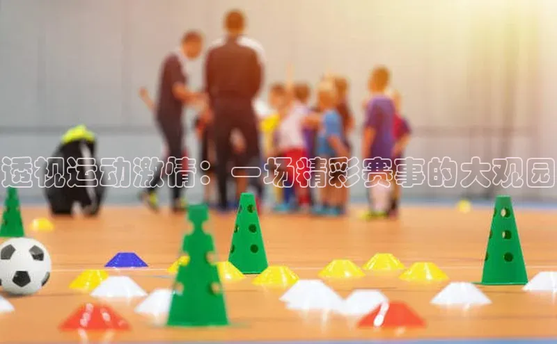 透视运动激情：一场精彩赛事的大观园
